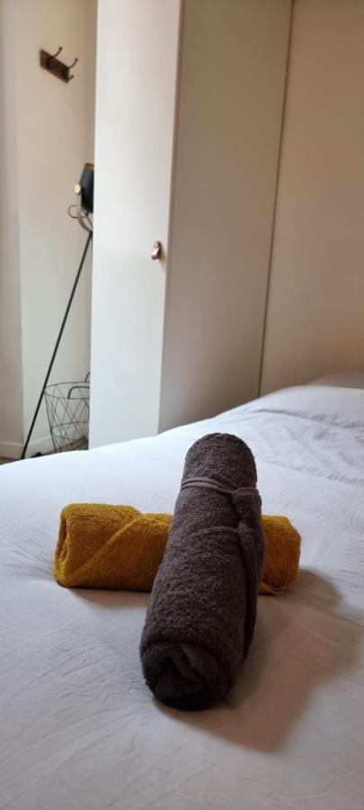 דירות טולוז Studio En Rdc - Quai De Garonne - Capitole - Wifi מראה חיצוני תמונה